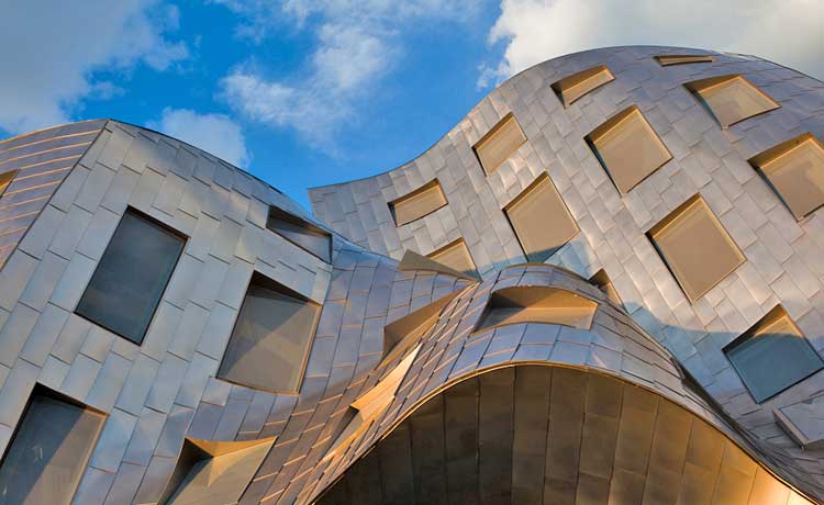   (FRANK GEHRY) - LOU RUVO CENTER